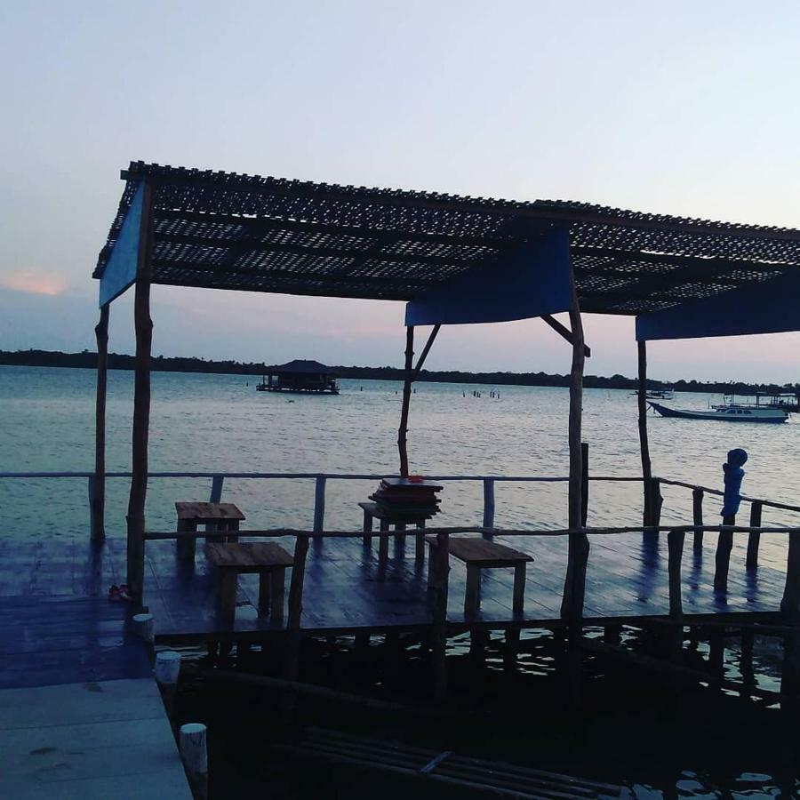 Blue Coral Homestay カリムンジャワ エクステリア 写真