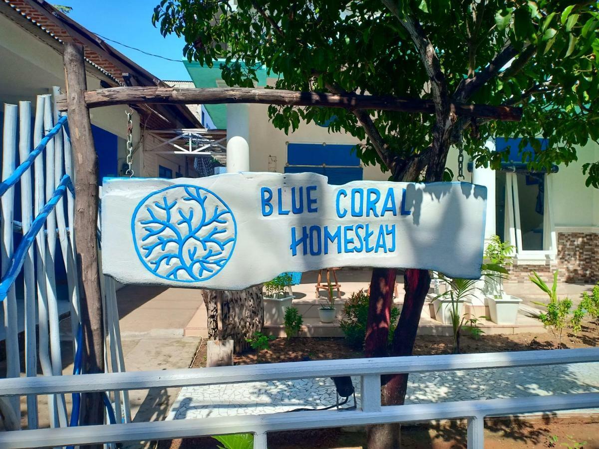 Blue Coral Homestay カリムンジャワ エクステリア 写真